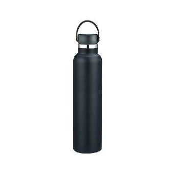 Stainless Steel Sport Bottle, model OD-1000SVS5
