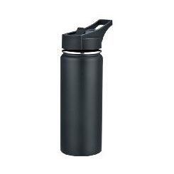 Stainless Steel Sport Bottle, model OD-550SVA2