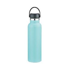 Stainless Steel Sport Bottle, model OD-600SVS5