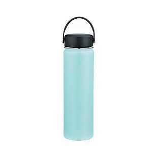 Stainless Steel Sport Bottle, model OD-650SVA1