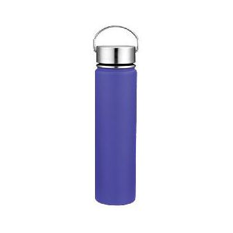 Stainless Steel Sport Bottle, model OD-750SVA4