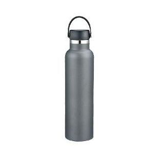 Stainless Steel Sport Bottle, model OD-750SVS5