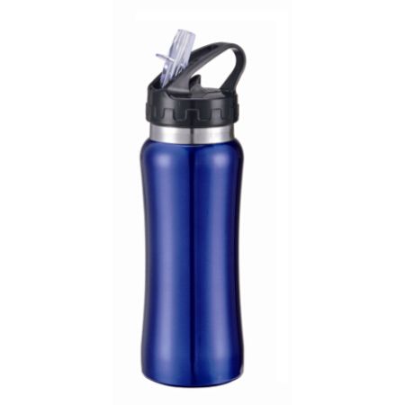 stainless steel bottle, model OD600BS